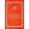 The Drumaulian Chronicles: A Hero's Awakening - Paperback