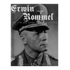 Erwin Rommel: The Life and Career of the Desert Fox - Paperback