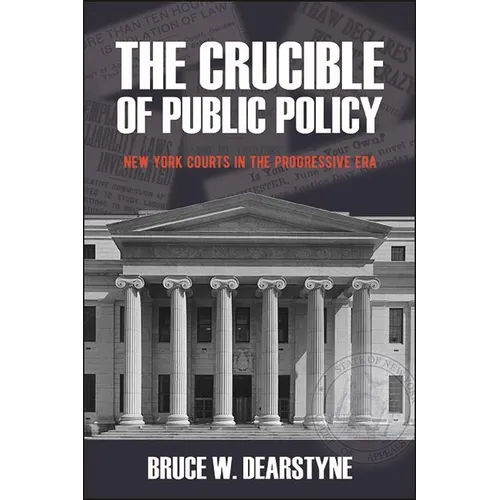 The Crucible of Public Policy: New York Courts in the Progressive Era - Paperback