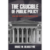 The Crucible of Public Policy: New York Courts in the Progressive Era - Paperback