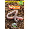 Worms: Backyard Bugs and Creepy-Crawlies (Engaging Readers, Level Pre-1) - Paperback