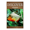 Piranha - Discover: Early reader's wildlife photography book - Paperback