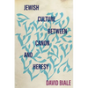 Jewish Culture Between Canon and Heresy - Paperback