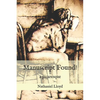 Manuscript Found!: A Picaresque - Paperback