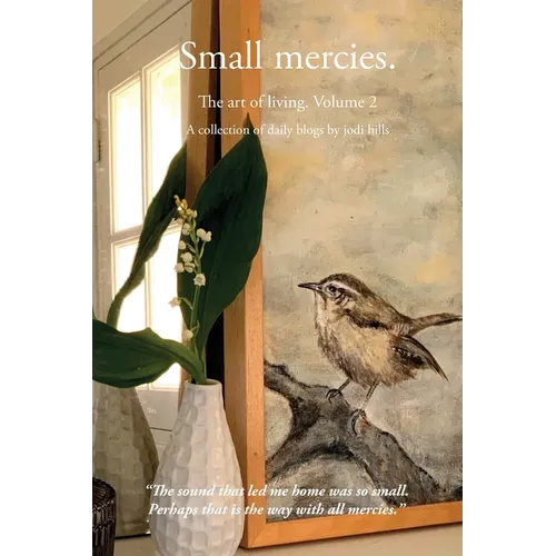 Small mercies - Paperback