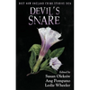Devil's Snare: Best New England Crime Stories 2024 - Paperback