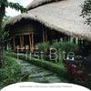 First Bite: mindful mouthfuls - simple savouring - tuned-in tasting - blissful bites - Paperback