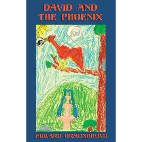 David and the Phoenix (Illustrated) - Hardcover