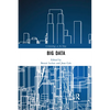 Big Data - Paperback