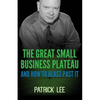 The Great Small Business Plateau - Paperback