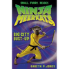 Ninja Meerkats (#6): Big City Bust-Up - Paperback