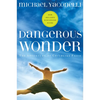Dangerous Wonder: The Adventure of Childlike Faith - Paperback