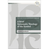 A Brief Systematic Theology of the Symbol - Paperback