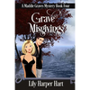 Grave Misgivings - Paperback
