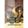 Miniature Dachshund Breed Guide: Get Ready To A Breeding Business: How Are Mini Dachshunds Bred - Paperback