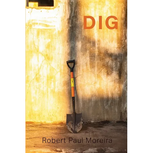 Dig - Paperback