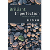 Brilliant Imperfection: Grappling with Cure - Paperback