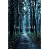 The Journey - Paperback