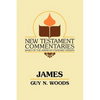 James: A Commentary on the Epistle of James - Paperback