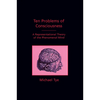 Ten Problems of Consciousness: A Representational Theory of the Phenomenal Mind - Paperback