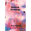 Seeking Brakhage - Paperback