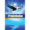 Predestination - Paperback