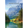 Moments of Clarity: Wisdom from the Father of a Prodigal - Paperback