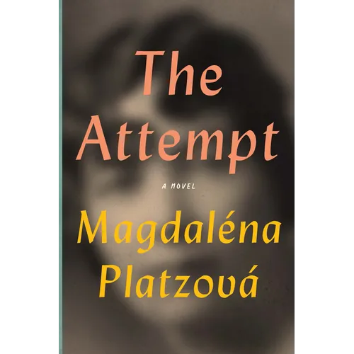 The Attempt - Paperback