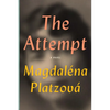 The Attempt - Paperback