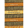 African Immigrant Religions in America - Paperback