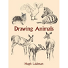 Drawing Animals - Paperback