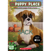 The Puppy Place #17: Jack: Volume 17 - Paperback