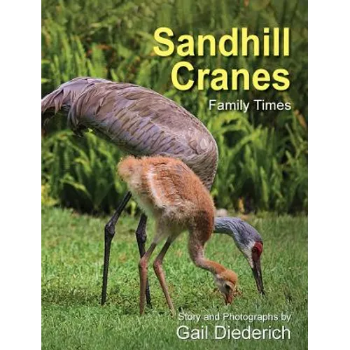 Sandhill Cranes, Family Times - Hardcover