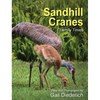 Sandhill Cranes, Family Times - Hardcover