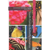 South Florida Butterfly Bonanza: 20 Common Butterflies You Can Easily Attract - Paperback