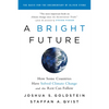 A Bright Future: How Some Countries Have Solved Climate Change and the Rest Can Follow - Paperback