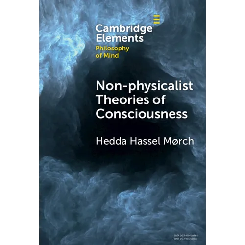 Non-physicalist Theories of Consciousness - Hardcover