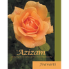Azizam: Exploring the Sacredness of One'S Dearest Relationship - Paperback
