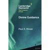 Divine Guidance - Paperback