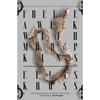 Freeze: A Week With Mr. Hopkins (Snellen Chart Cover) - Paperback