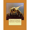 Diagnosis Of Honey Bee Diseases by: United States. Department of Agriculture - Paperback