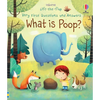 Very First Questions and Answers What Is Poop? - Board Book