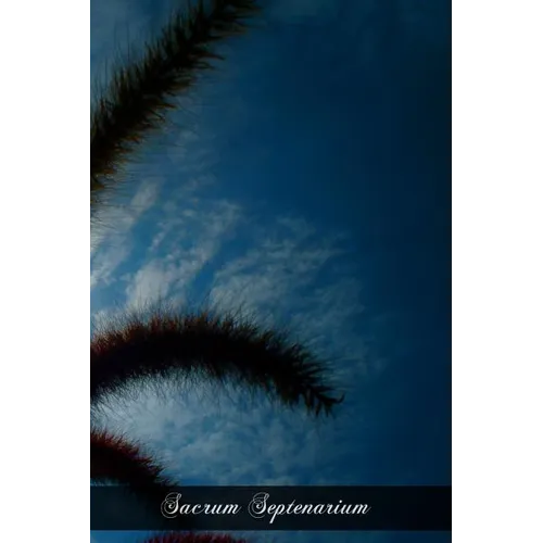 Sacrum Septenarium: The Seven Gifts Of The Holy Ghost - Paperback