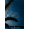 Sacrum Septenarium: The Seven Gifts Of The Holy Ghost - Paperback