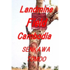Landmine Field Cambodia: Landmine Field Cambodia - Paperback