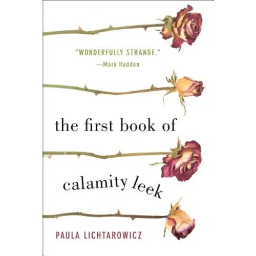 The First Book of Calamity Leek - Paperback