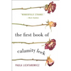 The First Book of Calamity Leek - Paperback