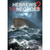 Hebrews to Negroes 2 Volume 3: Wake Up Black America - Paperback