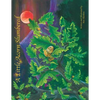 A Little Acorn Slumbered - Paperback