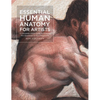 Essential Human Anatomy for Artists: A Complete Visual Guide to Drawing the Structures of the Living Form - Paperback